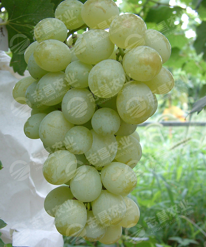 比昂扣網(wǎng)站.jpg