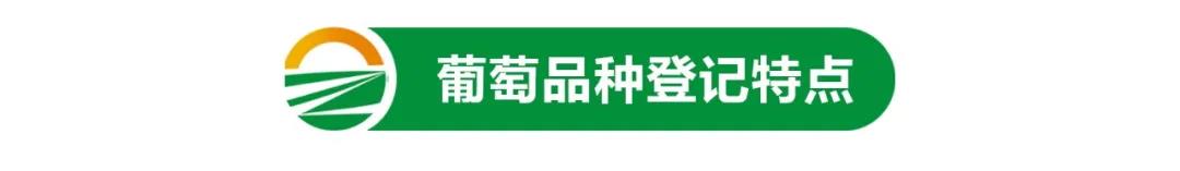 1-211104113643549.jpg