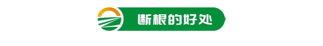 1-2111041351122C.jpg
