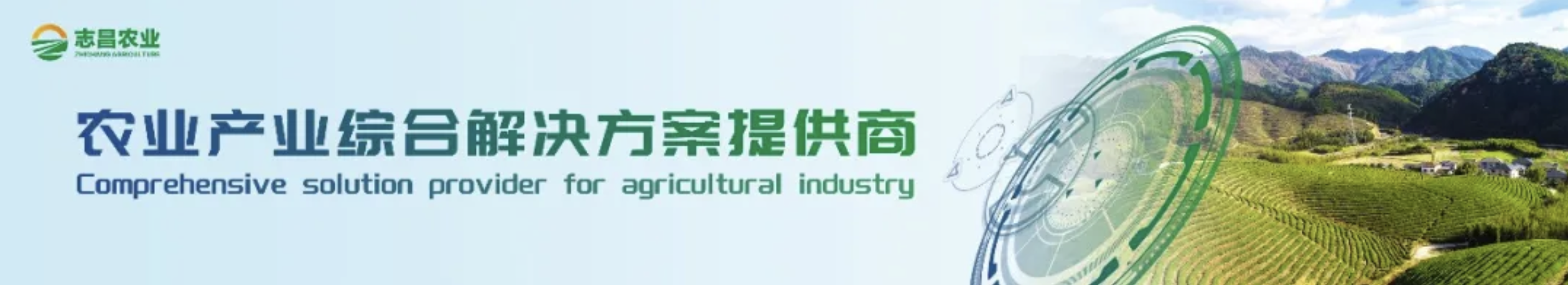 葡萄種質(zhì)資源抗霜霉病鑒定研究(圖1) 葡萄種質(zhì)資源抗霜霉病鑒定研究(圖1)