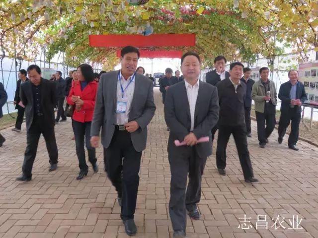 匯聚巾幗力量 助力精準(zhǔn)扶貧 --全市行業(yè)社會(huì)扶貧現(xiàn)場(chǎng)會(huì)在公司召開(kāi)(圖5)