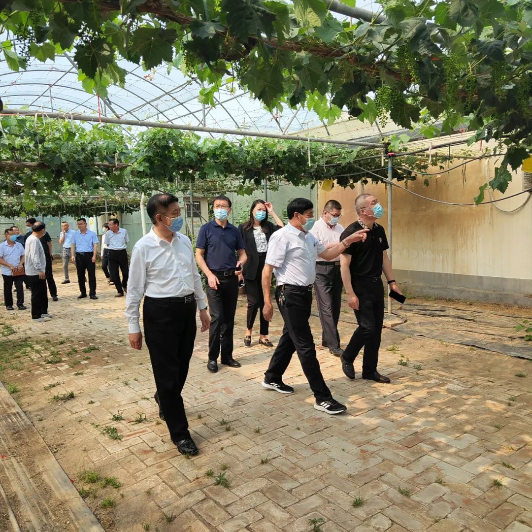創(chuàng)新驅(qū)動添活力，助力企業(yè)上臺階——市科協(xié)調(diào)研組到志昌農(nóng)業(yè)調(diào)研創(chuàng)新驅(qū)動發(fā)展情況(圖1)