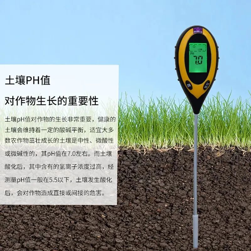 好土壤才能種出好葡萄！陽(yáng)光玫瑰適合什么樣的土壤？(圖3)
