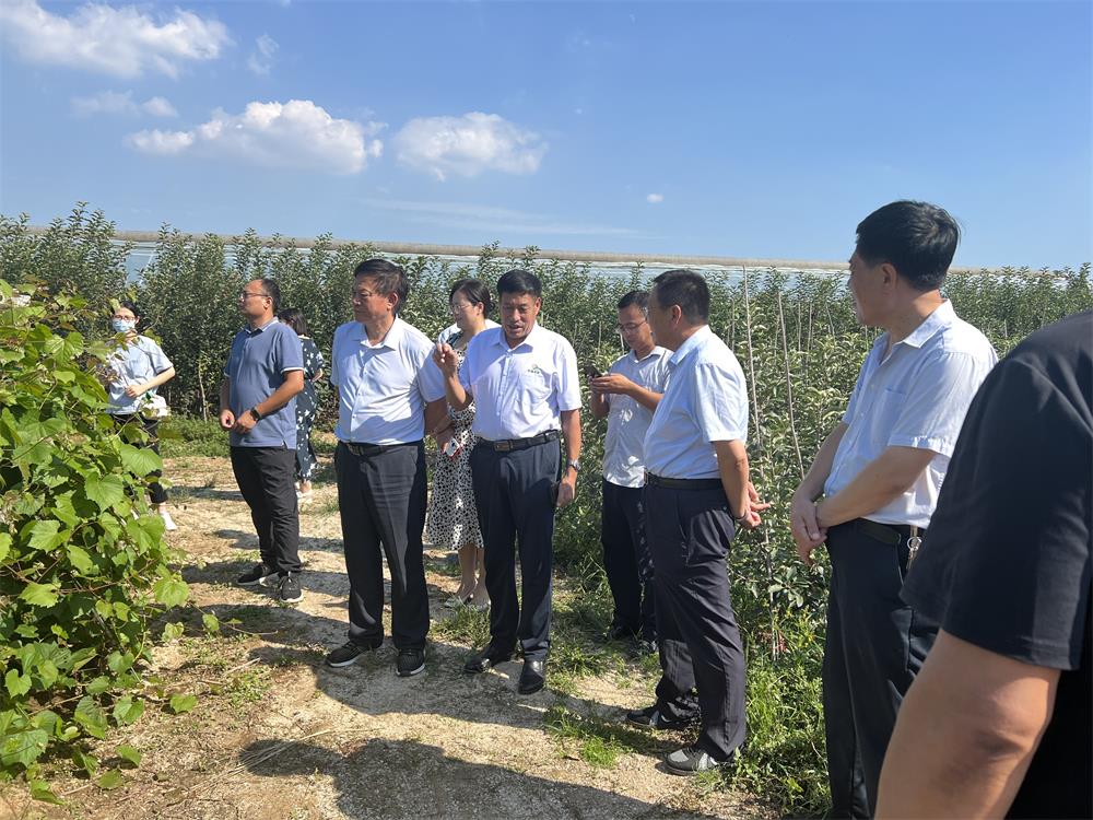 “砧木抗性評價與區(qū)域適應(yīng)性調(diào)查咨詢會”成功召開(圖4)