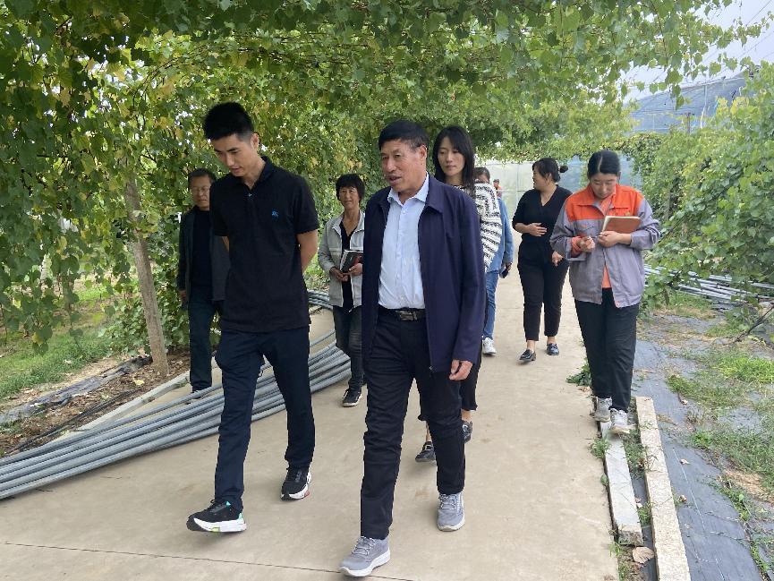 志昌農(nóng)業(yè)順利通過2023年ISO9001質(zhì)量管理體系認(rèn)證審核(圖2)